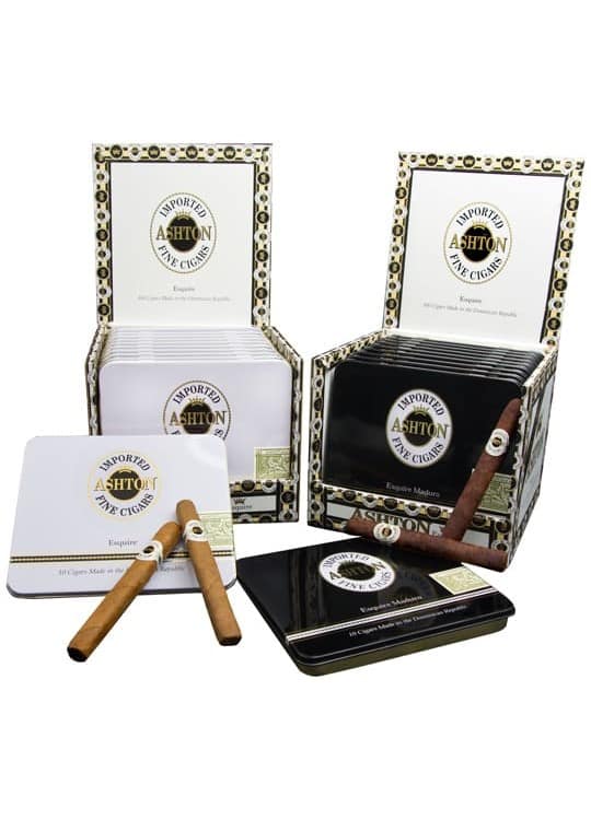 Ashton Esquire cigars with smooth, Connecticut Shade wrappers, neatly arranged in a box, showcasing their compact size and elegant craftsmanship
