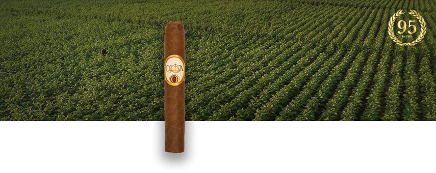 Oliva Serie O cigar resting with a lush tobacco field in the background, showcasing its premium craftsmanship