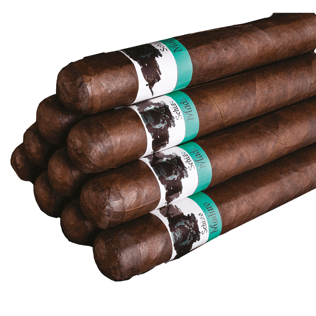 Asylum Schizo - Image 3