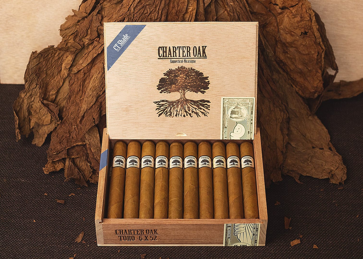 Open box of Charter Oak Connecticut cigars resting on a bed of tobacco leaves, showcasing silky golden wrappers and elegant presentation
