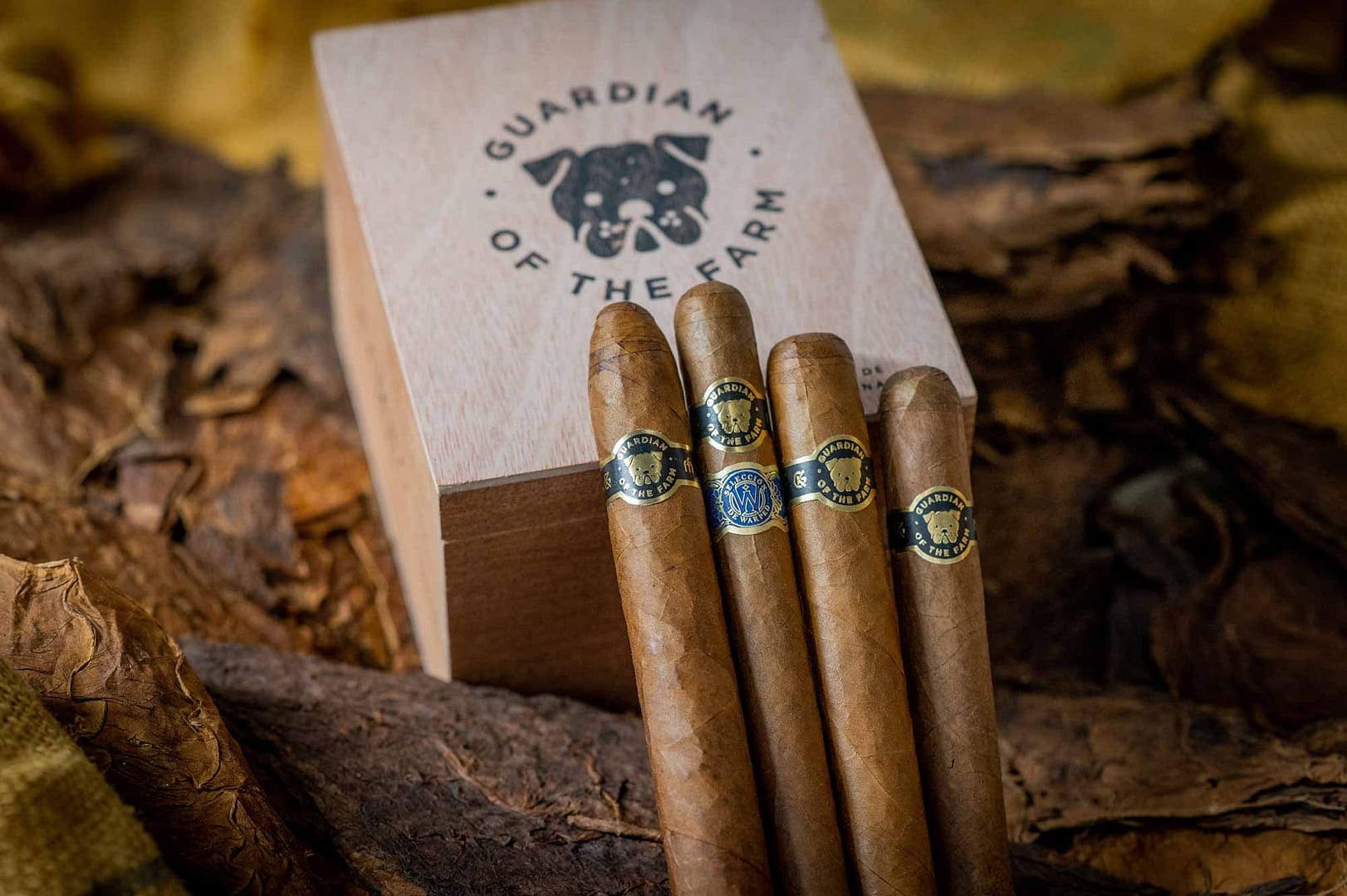 Three Guardian of the Farm cigars resting on the same box, showcasing their dark, rich wrappers and impeccable construction