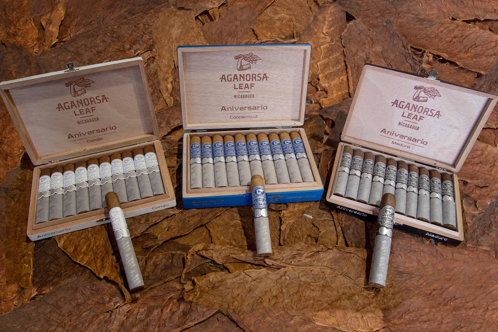 Open box of Aganorsa Leaf Anniversario cigars, featuring one of each wrapper type, showcasing their elegant construction and rich, varied wrappers.