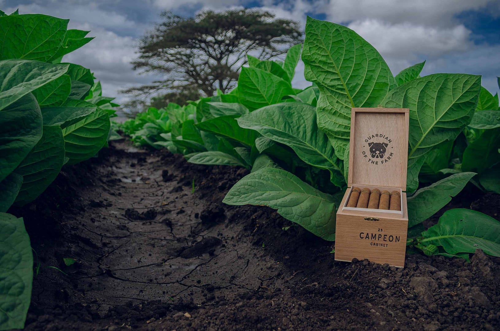 Guardian of the Farm warped de selection - Image 2