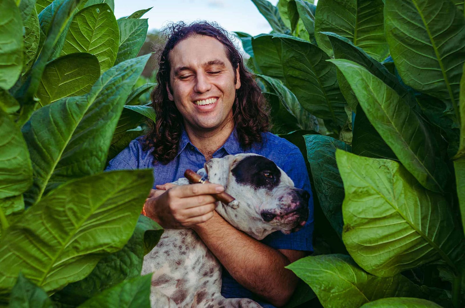 Guardian of the Farm warped de selection - Image 3