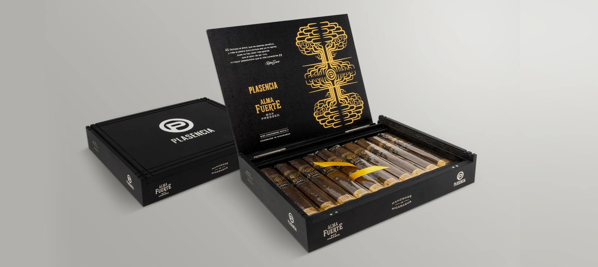 Plasencia Alma Fuerte Cigar, showcasing its dark, oily wrapper and premium craftsmanship