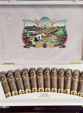 Oliva Serie V 135th Anniversary cigars displayed in an open, elegant box