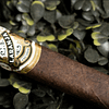 Single Laranja Escuro cigar with a dark, oily Brazilian Mata Fina wrapper and a refined, richly designed band.