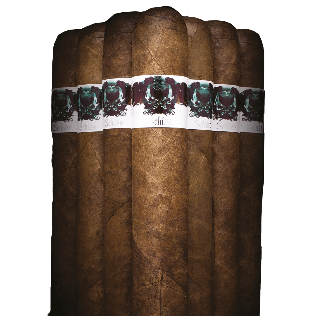 Asylum Schizo - Image 2