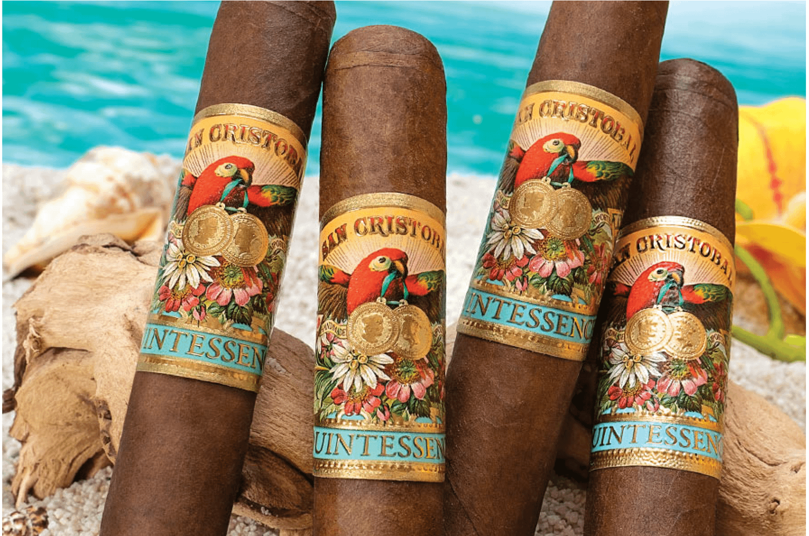Four San Cristobal Quintessence cigars with dark, oily wrappers and ornate bands resting on a sandy beach with gentle ocean waves