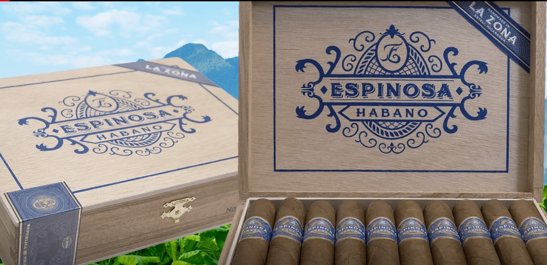 Open box of Espinoza Habano cigars, showcasing the vibrant, oily Habano wrappers and premium construction of each cigar neatly arranged inside