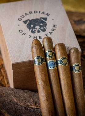 Three Guardian of the Farm cigars resting on the same box, showcasing their dark, rich wrappers and impeccable construction