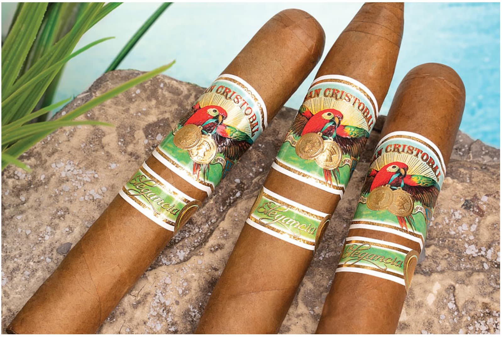 Three San Cristobal Elegancia cigars with light, golden Connecticut wrappers and elegant bands resting beside a clear blue pool on a sunny day."