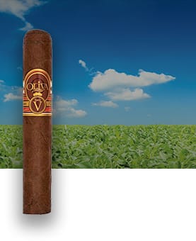 Oliva Serie V cigar placed in front of a cigar field, showcasing its premium craftsmanship and bold flavor.