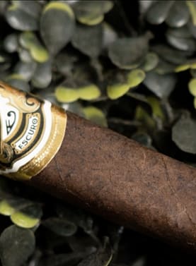 Single Laranja Escuro cigar with a dark, oily Brazilian Mata Fina wrapper and a refined, richly designed band.
