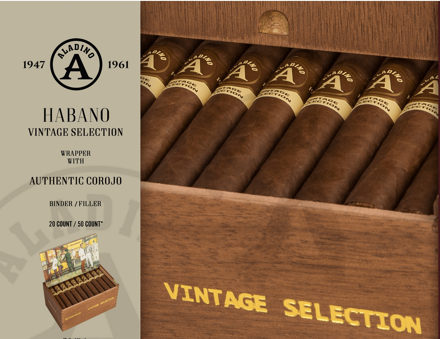 Open box of Aladino Vintage Selection cigars with golden-brown Corojo wrappers and classic bands