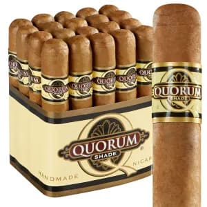 Single Quorum Shade cigar displayed in front of a bundle of 20 cigars.