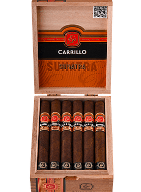 Open box of E.P. Carrillo Sumatra cigars showcasing hand-rolled premium sticks